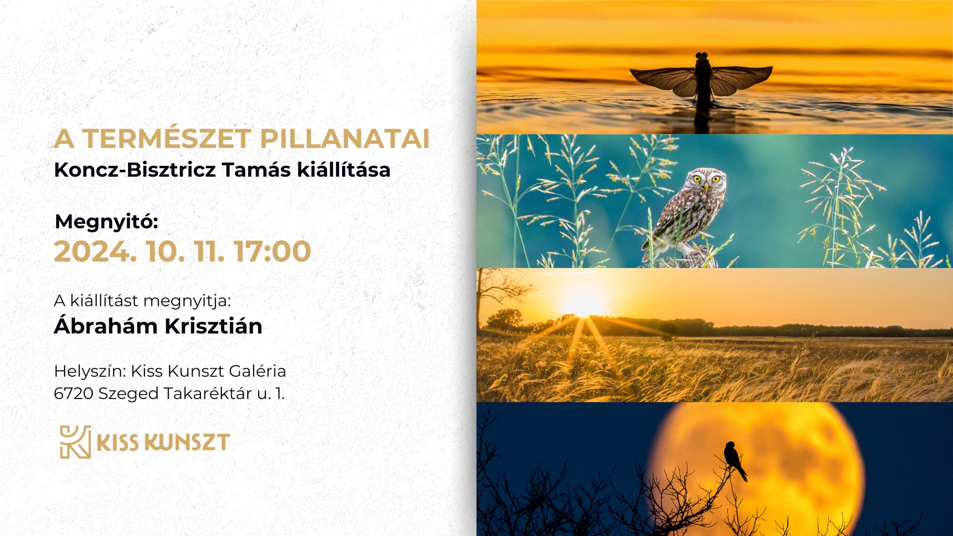 A természet pillanatai - Koncz-Bisztricz Tamás kiállítása