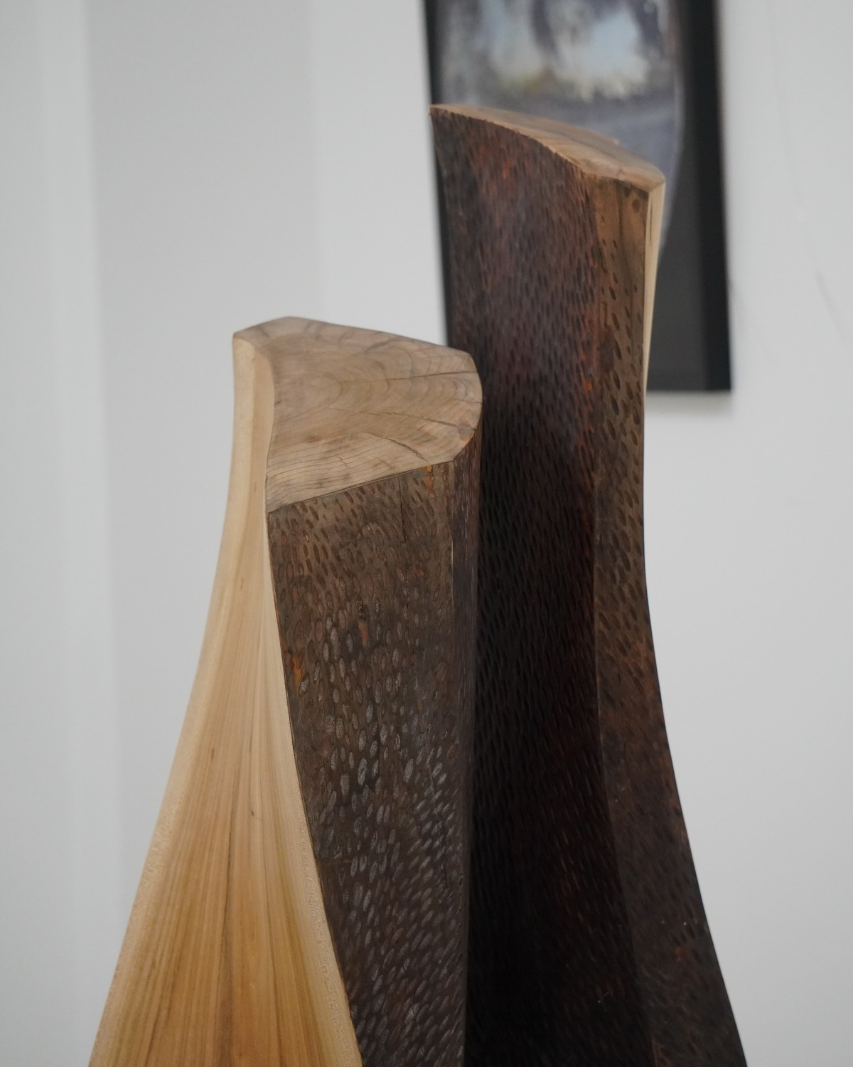 Aranyi Sándor és Popovics Lőrinc közös kiállítása Szegeden