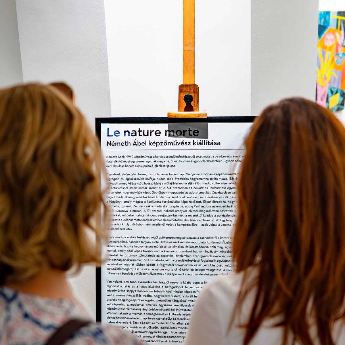 Le nature morte | Németh Ábel kiállítása